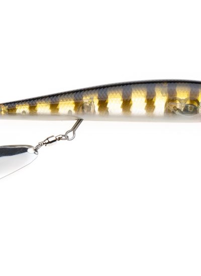MISCHIEF MINNOW BLUEGILL