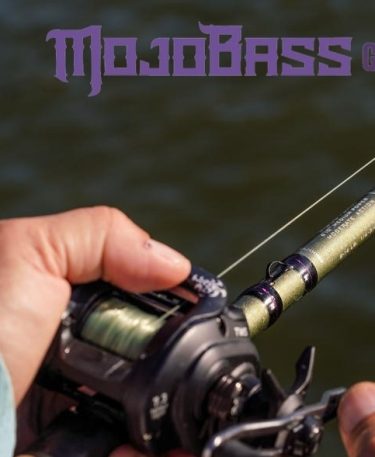 Mojo bass Glass 2